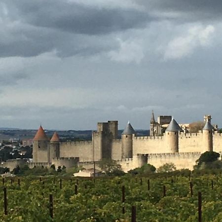 Les Orchidees Apartamento Carcassonne Exterior foto