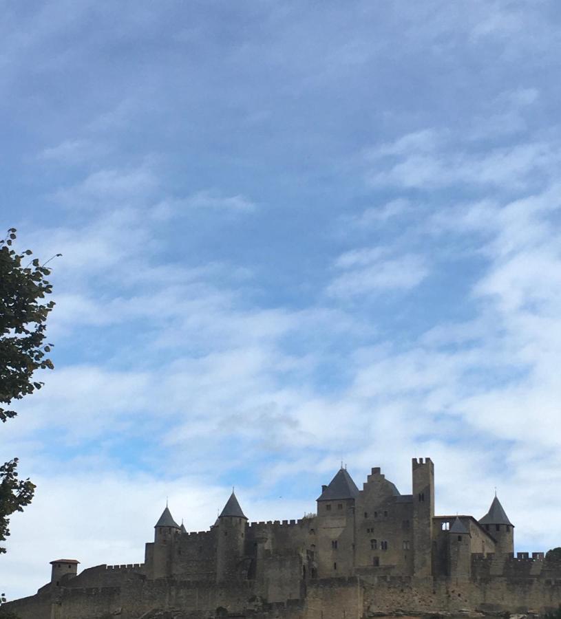 Les Orchidees Apartamento Carcassonne Exterior foto